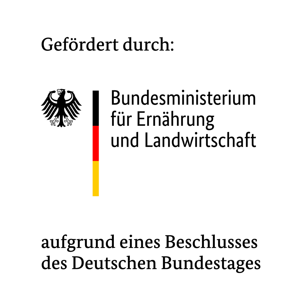 Ausblick Deutsches Biomasseforschungszentrum