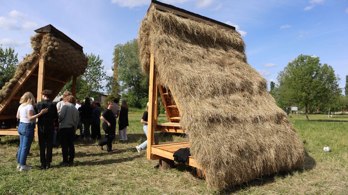 Reetdach Sommerschool in Malchin beim WWdZ